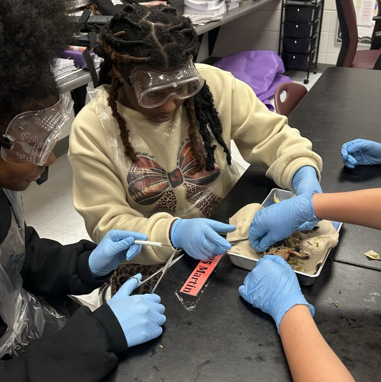 frog dissection lab 