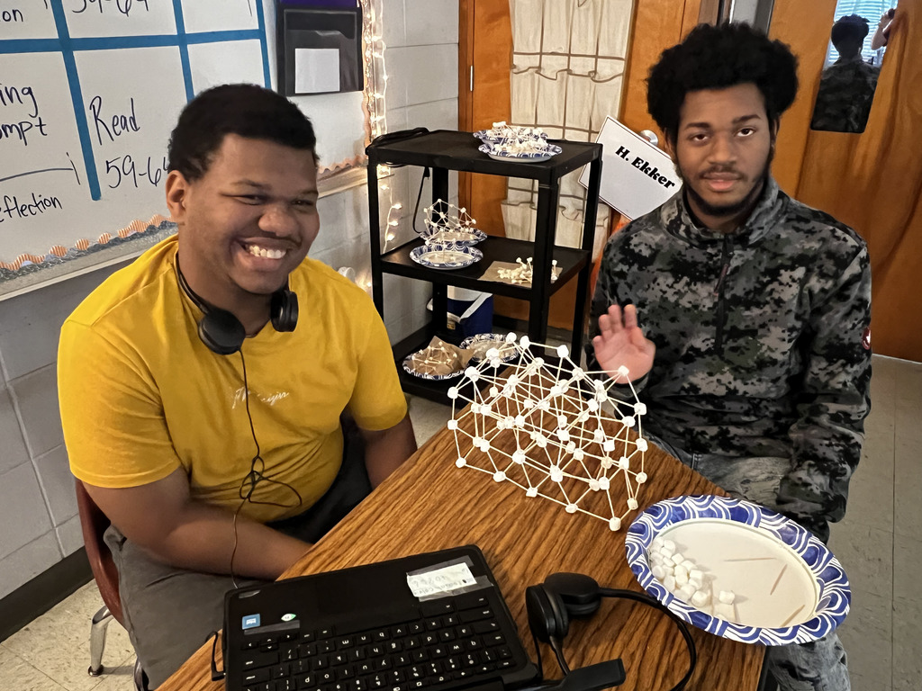 Students with a structure they built out of toothpicks and marshmallows