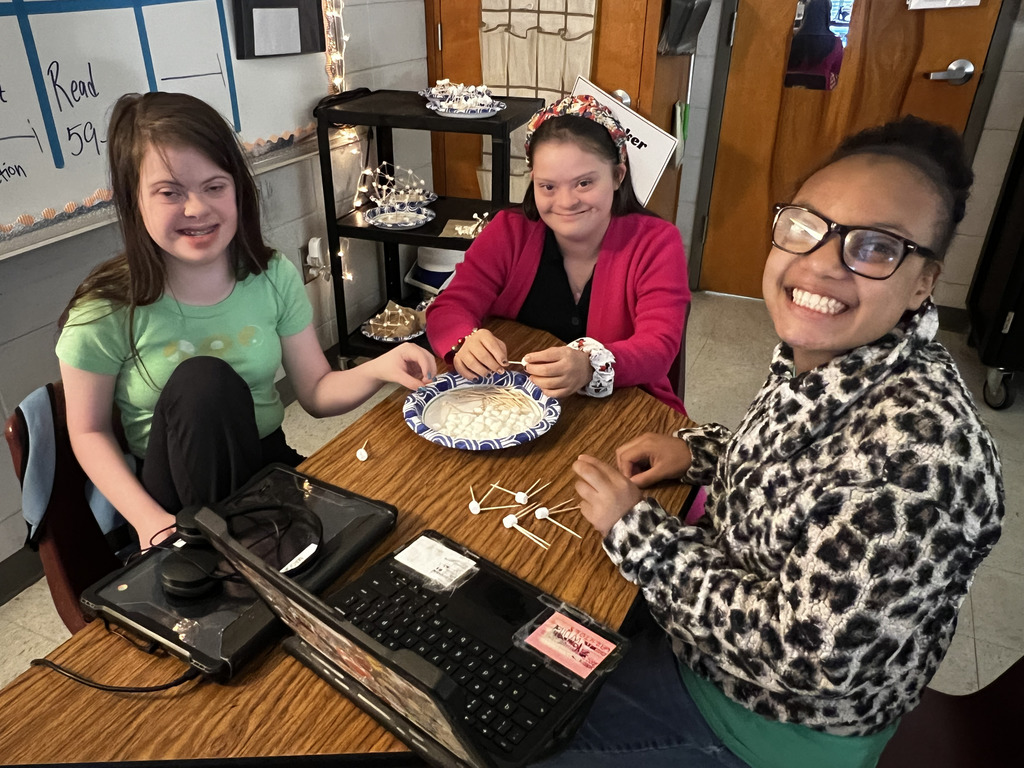 Students building with toothpicks and marshmallows