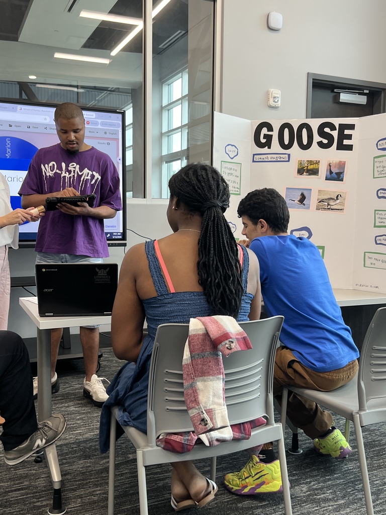 Goose presentation