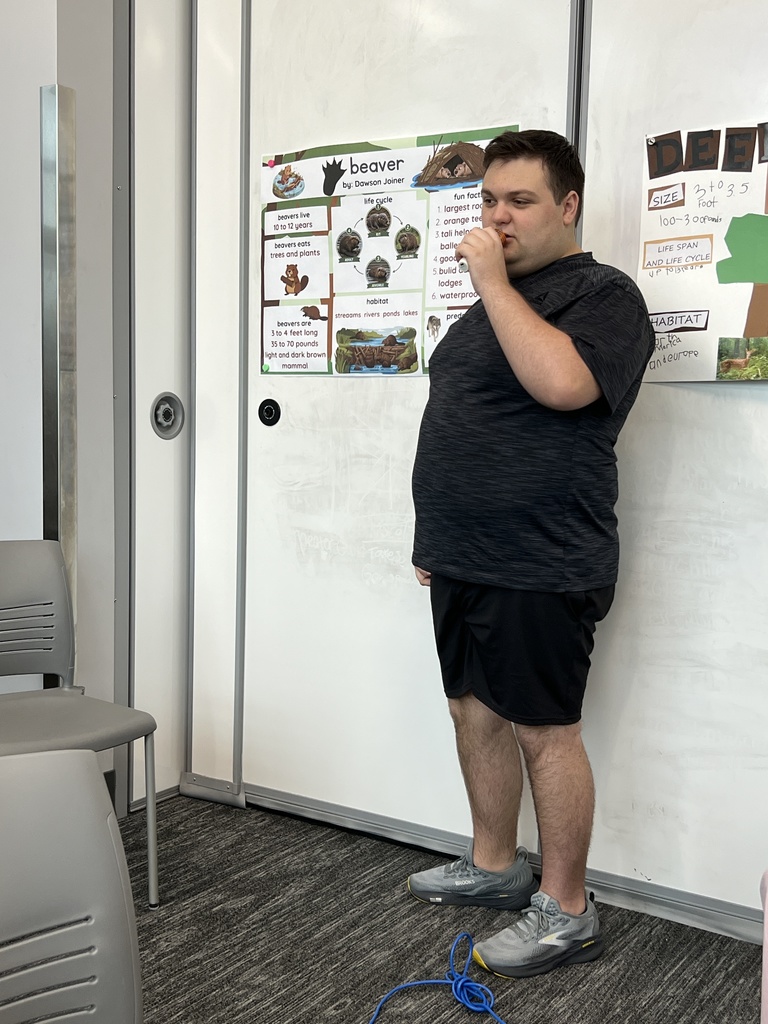 Beaver presentation