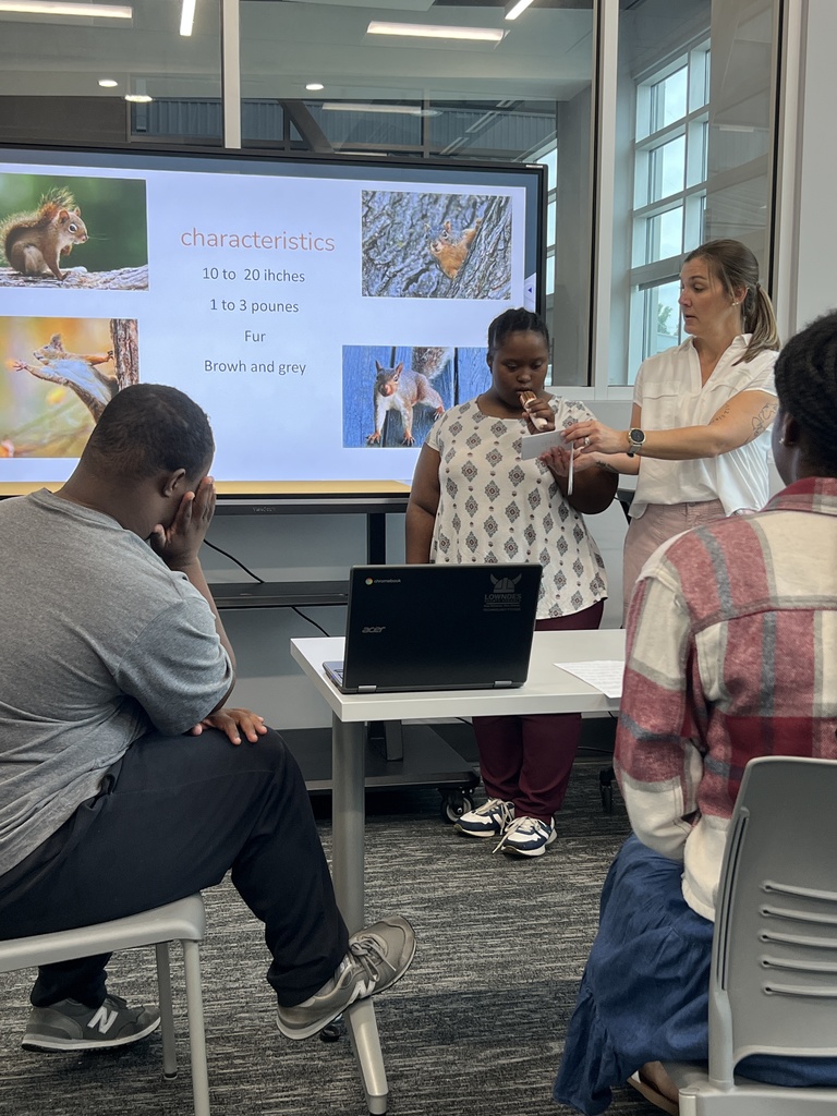 Squirrel presentation