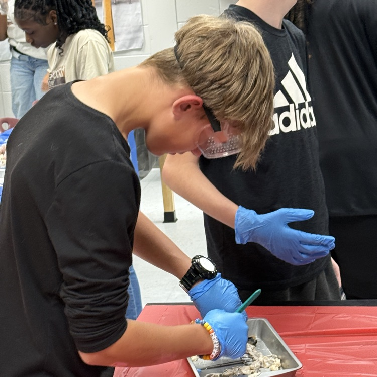 cow eye dissection