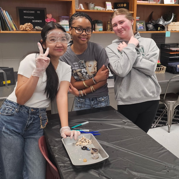 cow eye dissection