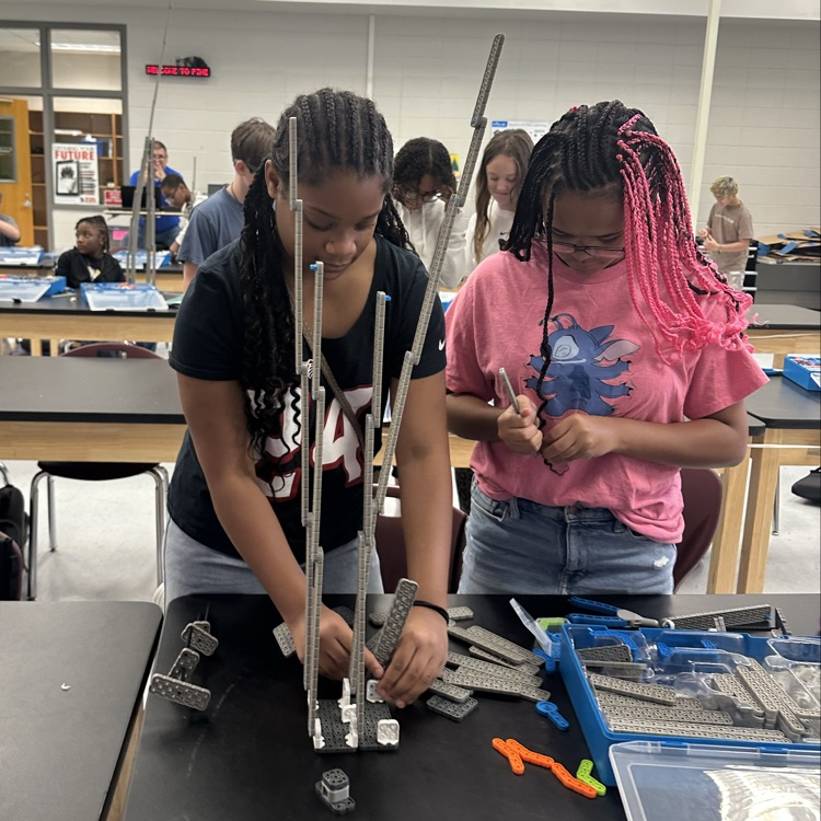 students building towers
