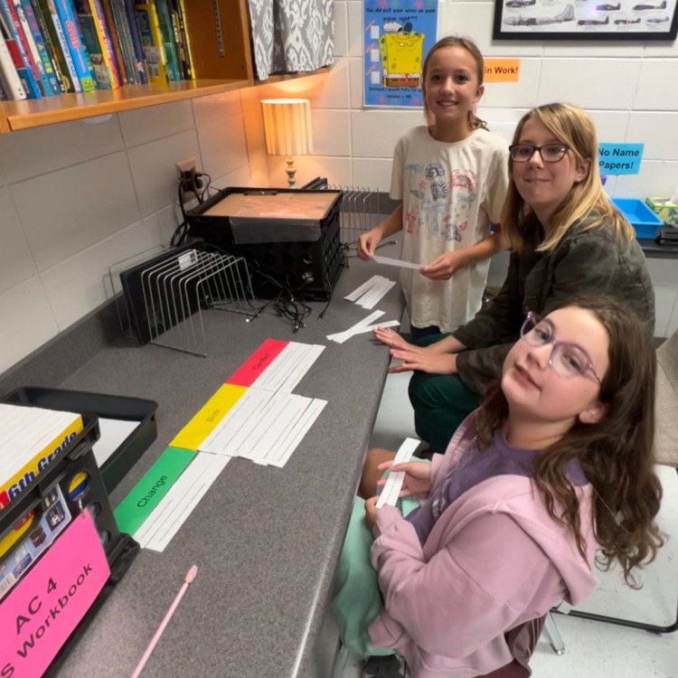 sorting activity