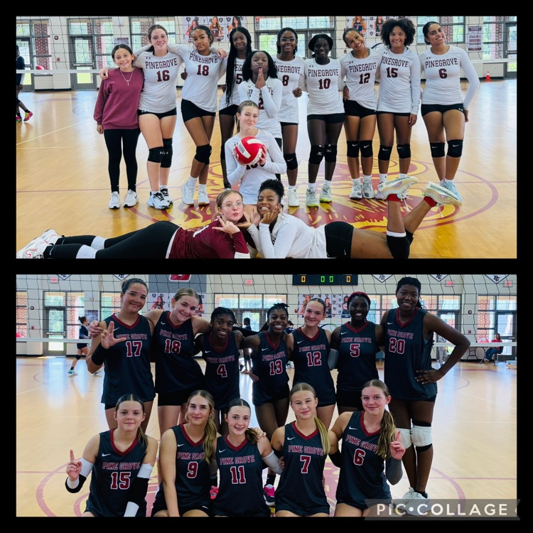 volleyball teams 