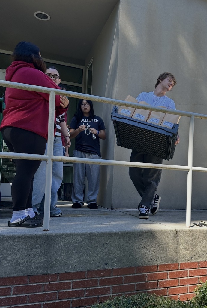 Student carrying a flat of lunches