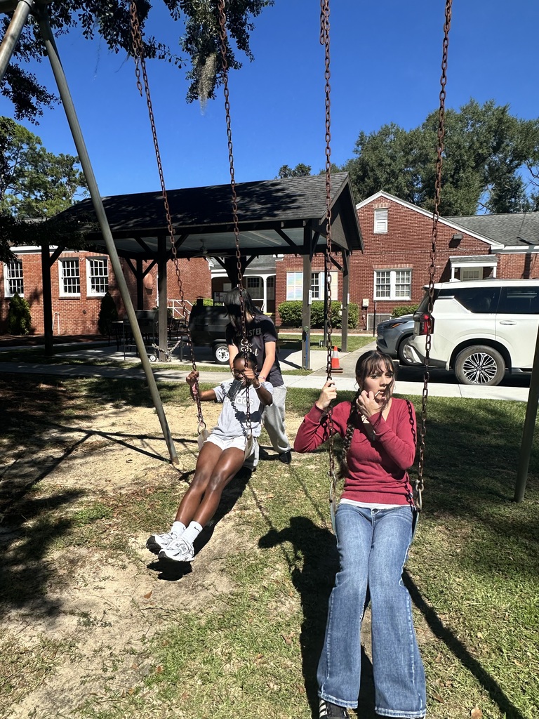 Students on swings