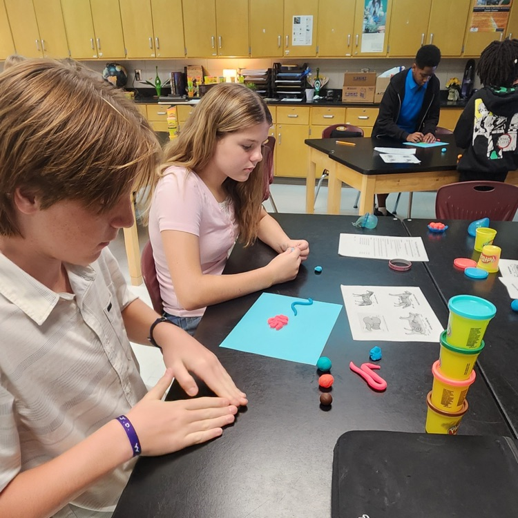 playdoh body systems lab