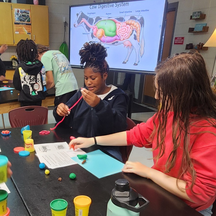 playdoh body systems lab