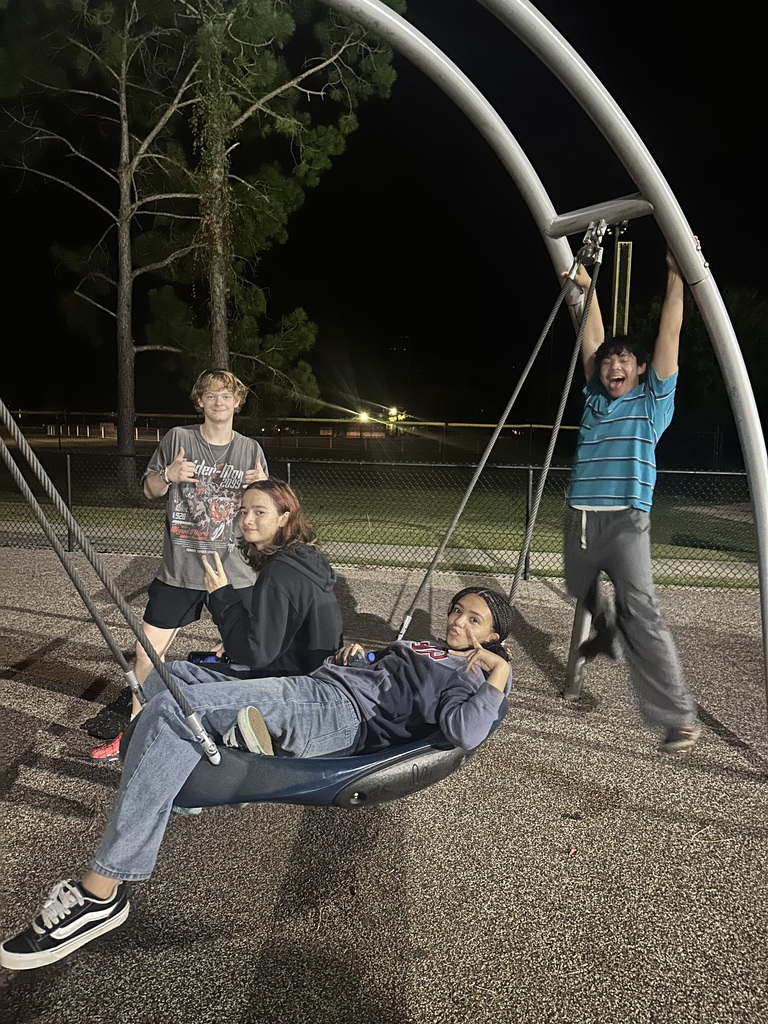 Playing on the swings
