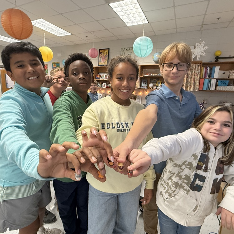 students holding mini Vikings