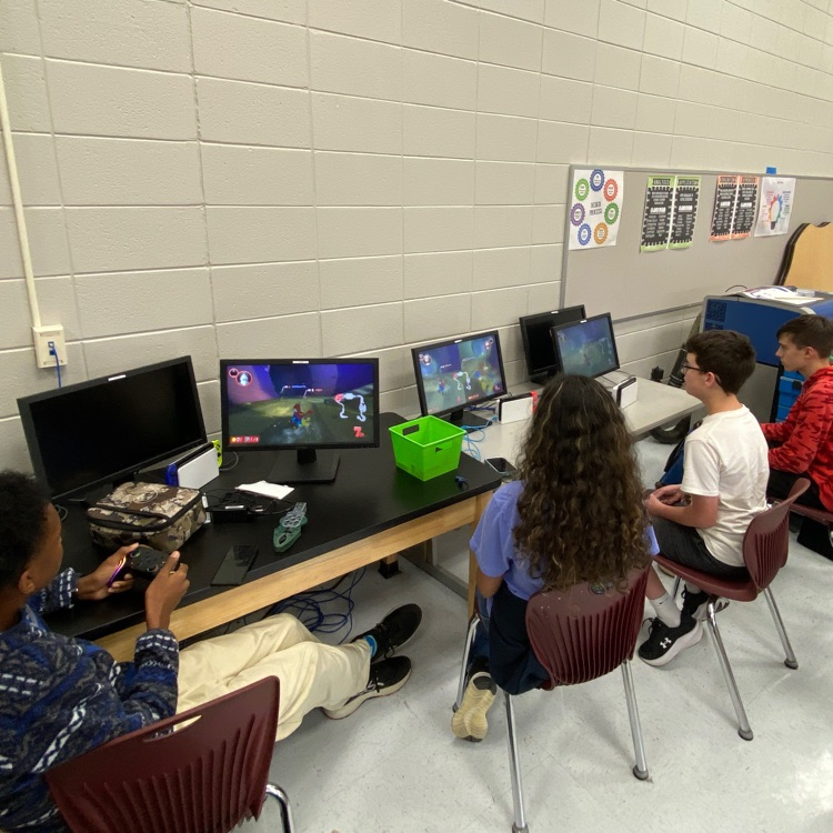 Mario kart players