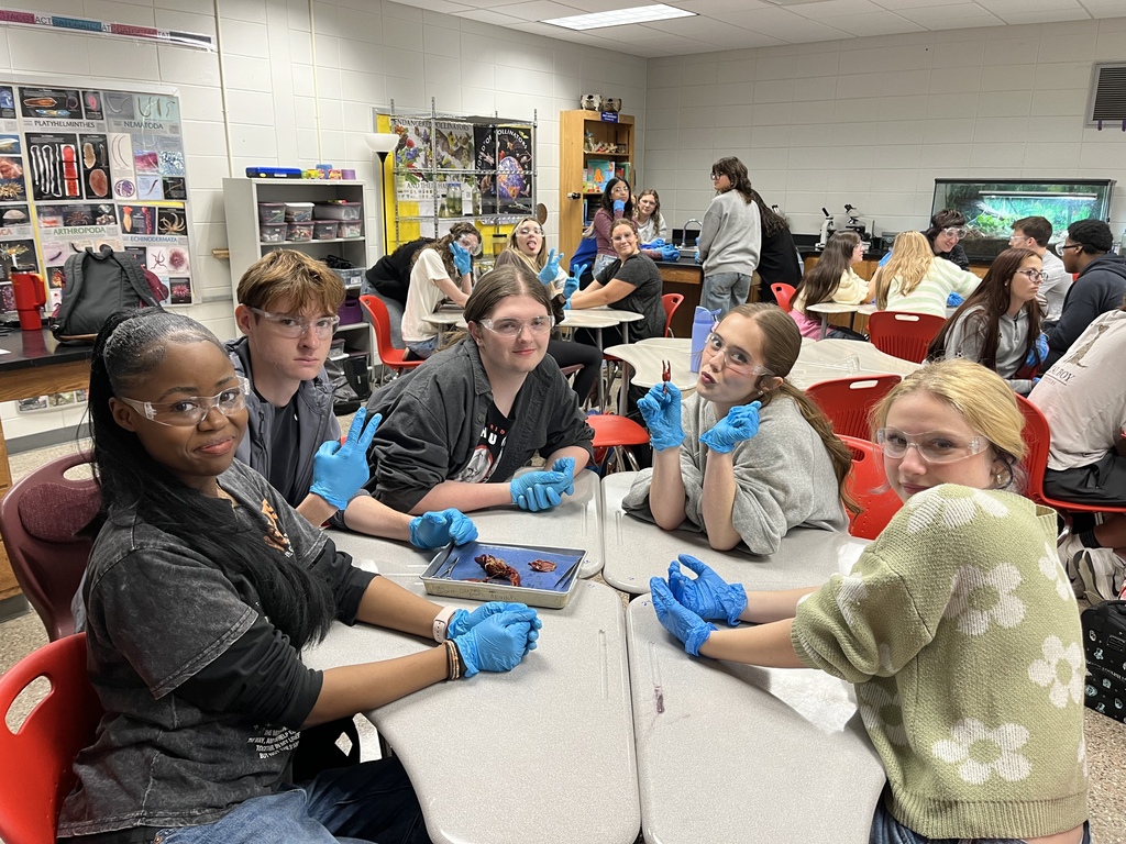 A group of students dissecting a crayfish
