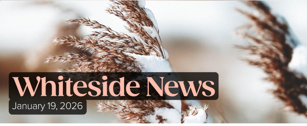 Whiteside News