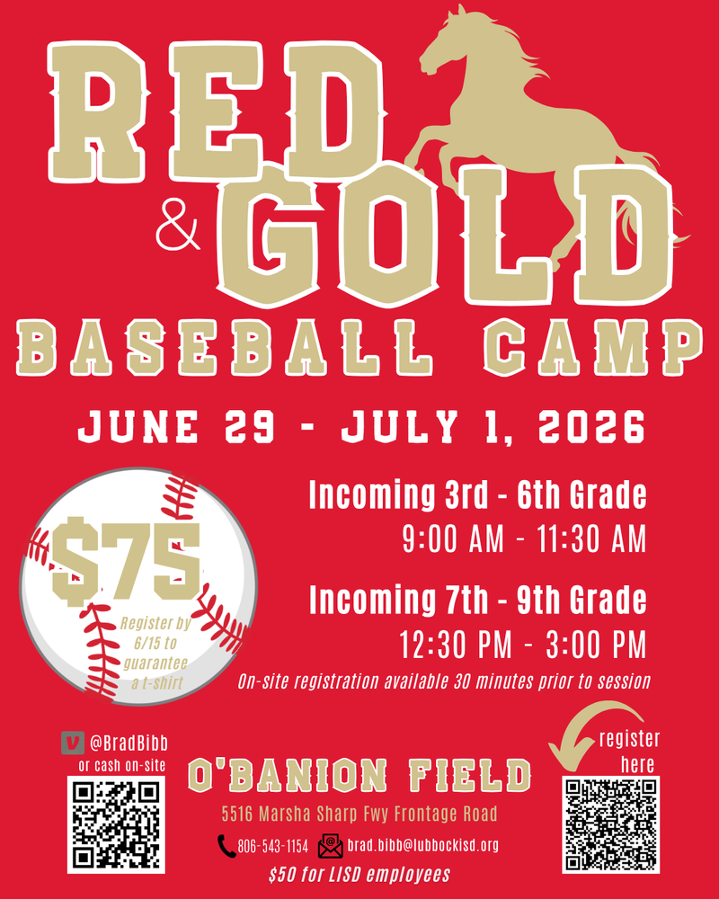 Red & Goild Baseball Camp