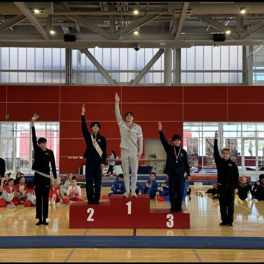 LHS Gymnastics