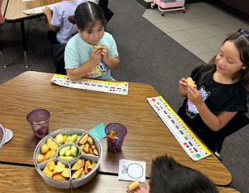 kindergarten science