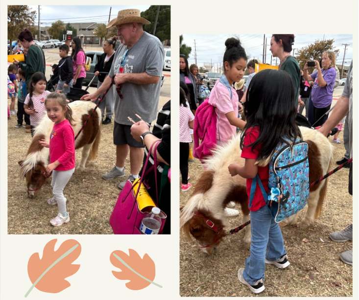 moms and mini horses program