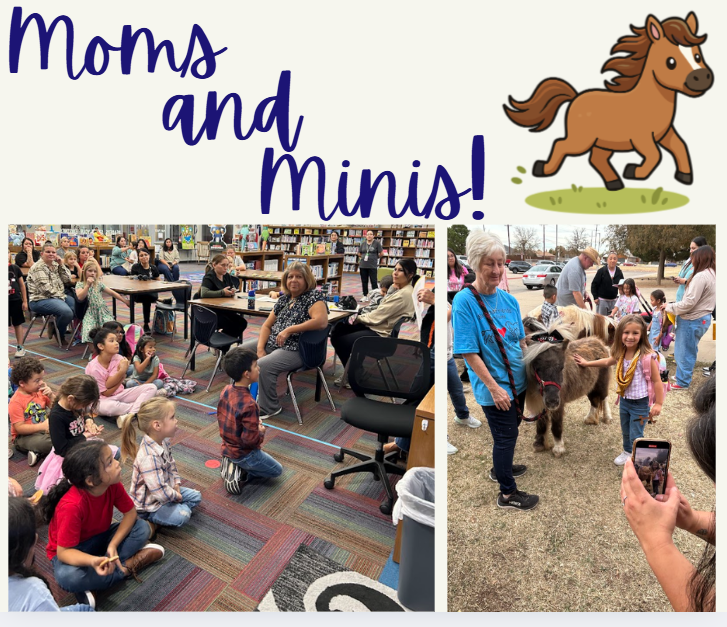moms and mini horses program