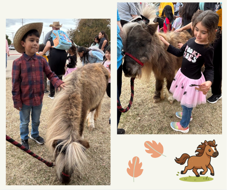 moms and mini horses program