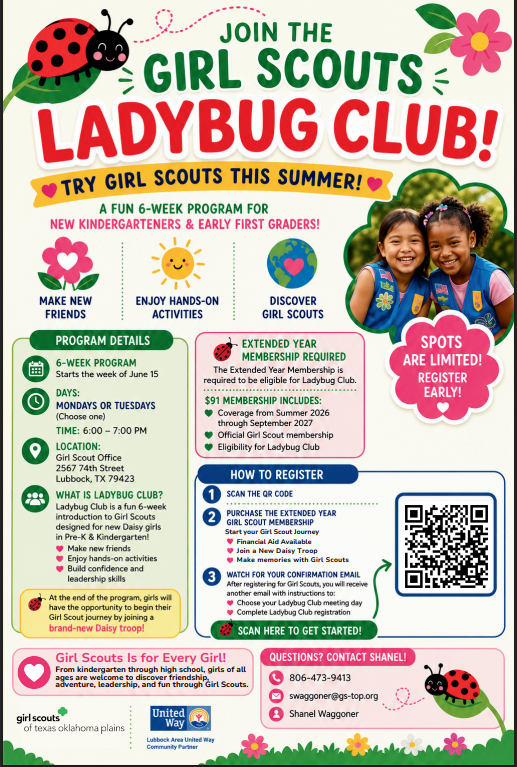 girl scout ladybug flier