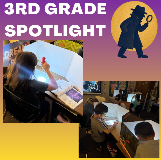 3rd Grade Reading Detectives