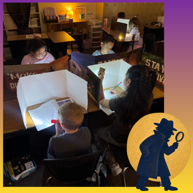 3rd Grade Reading Detectives