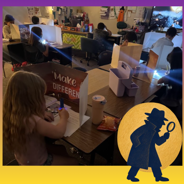 3rd Grade Reading Detectives