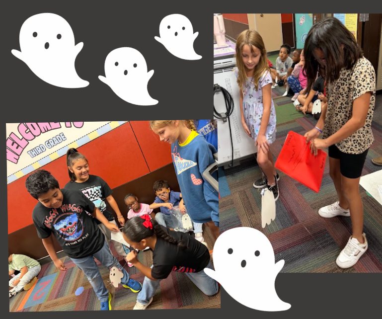 Force and Motion Lesson - 3rd Grade