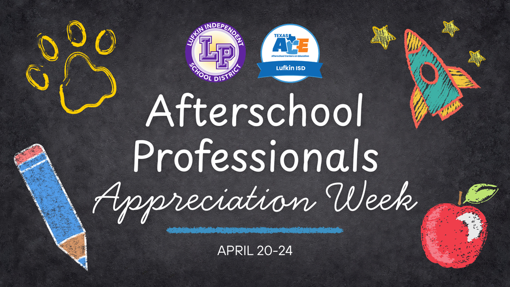 Afterschool Professionals