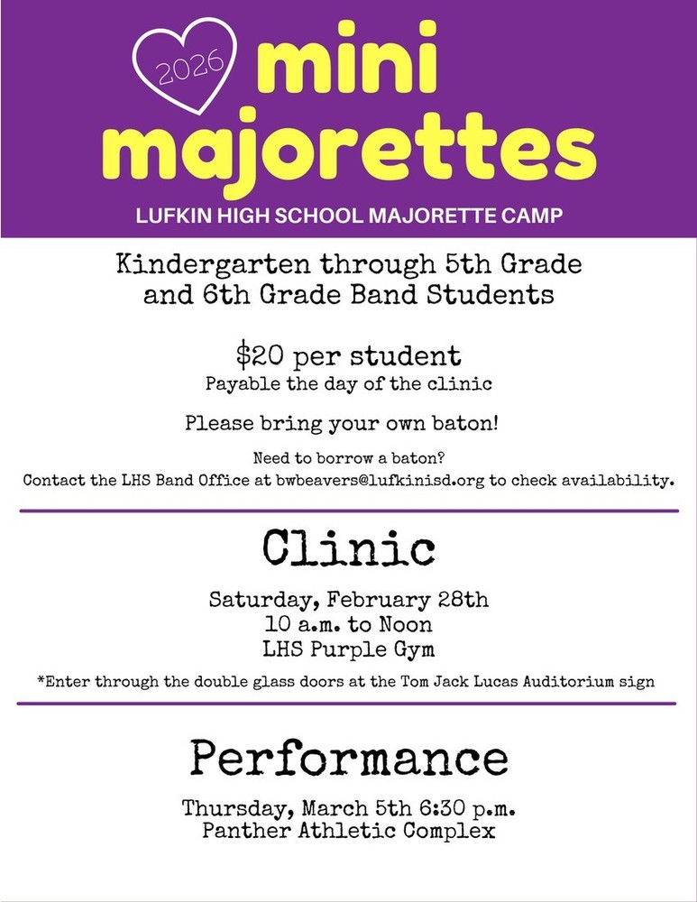 Mini Majorette Clinic