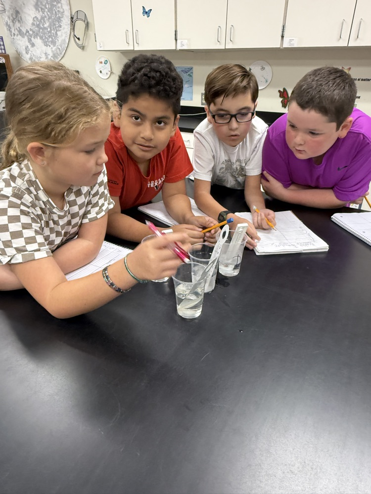 thermometer lab