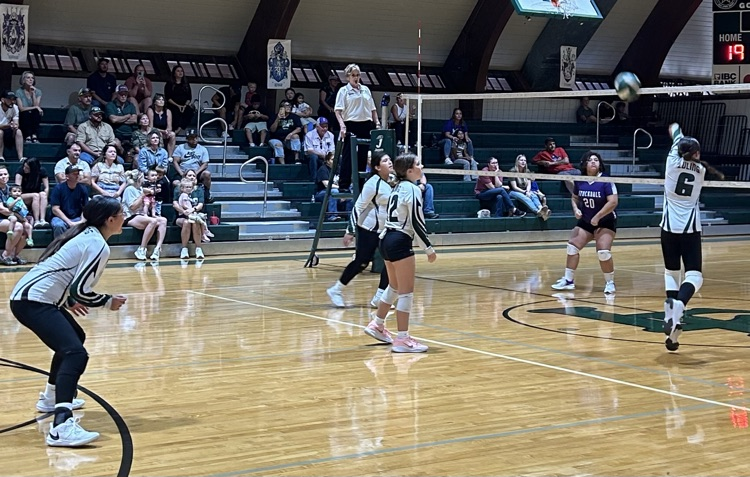 students playing volleyball