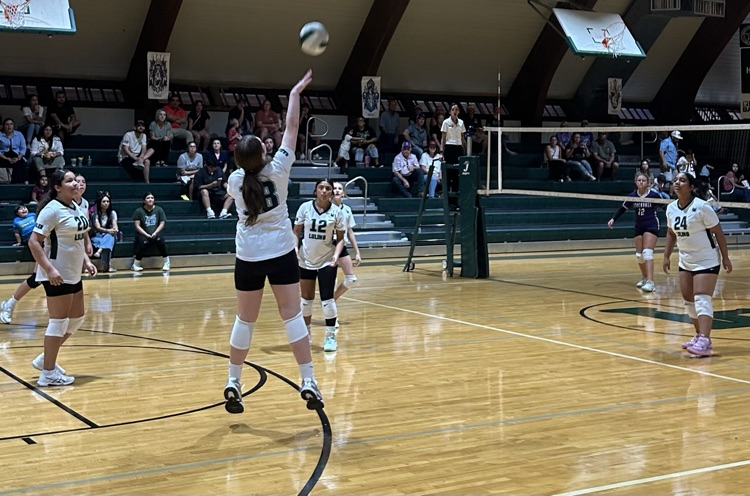 students playing volleyball