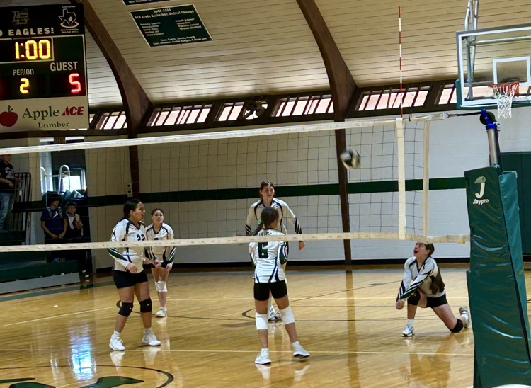 volleyball