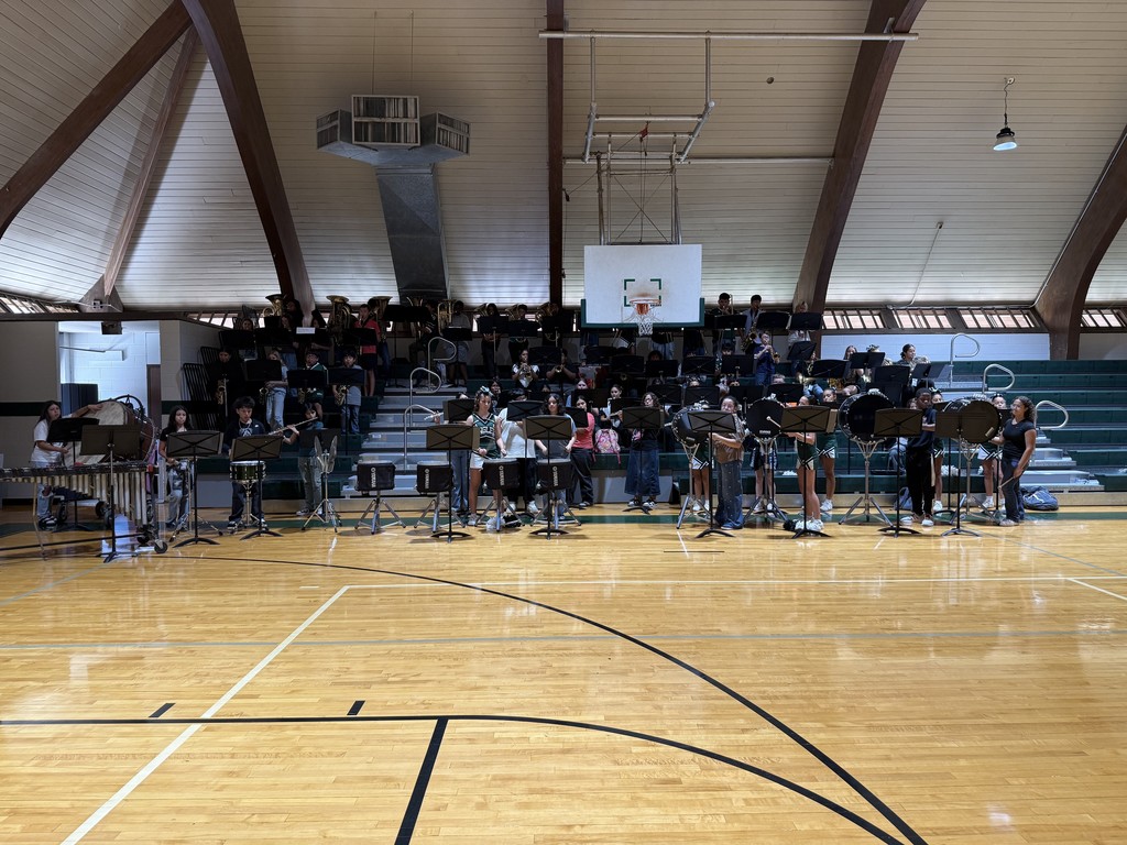 students playing in band