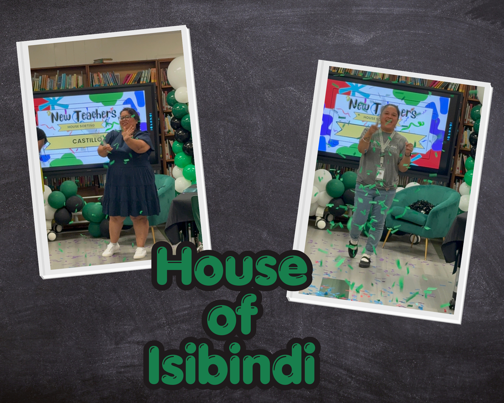 Isibindi