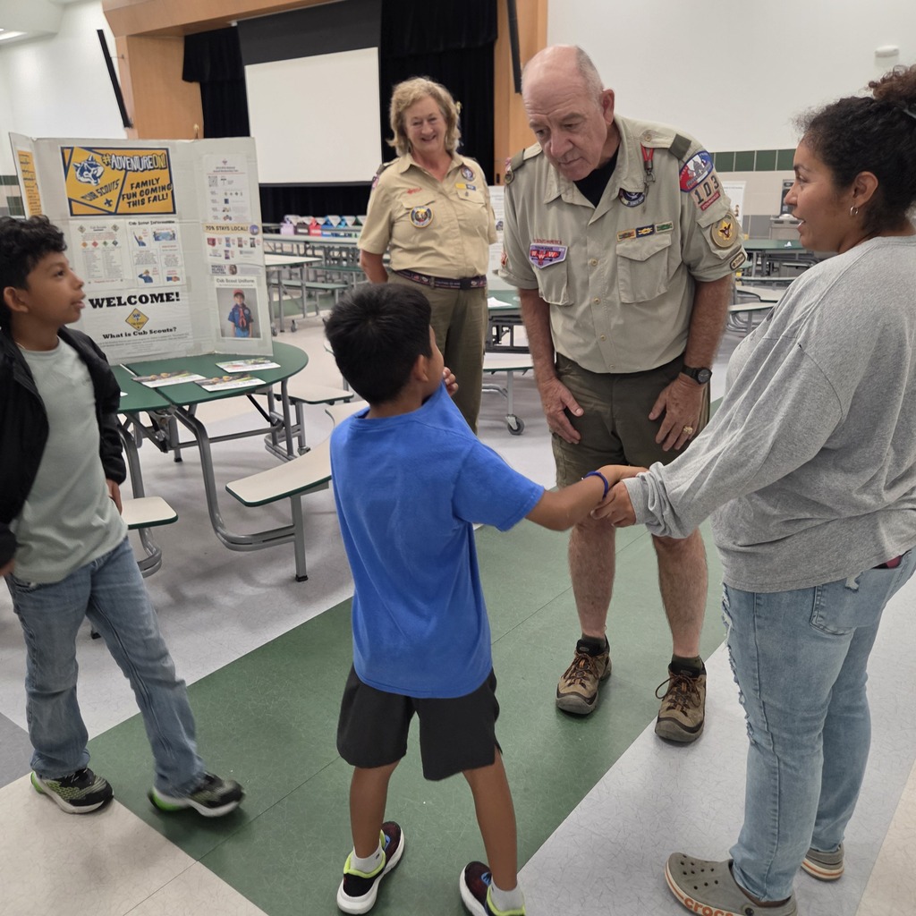 scouts