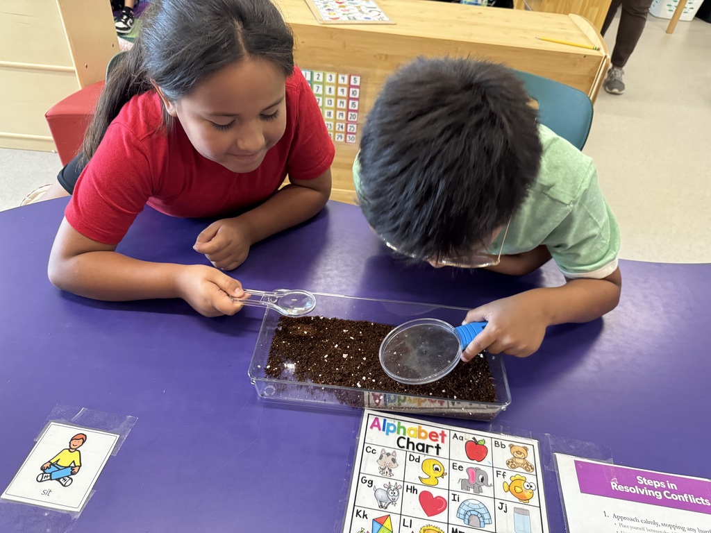 Students examining soil