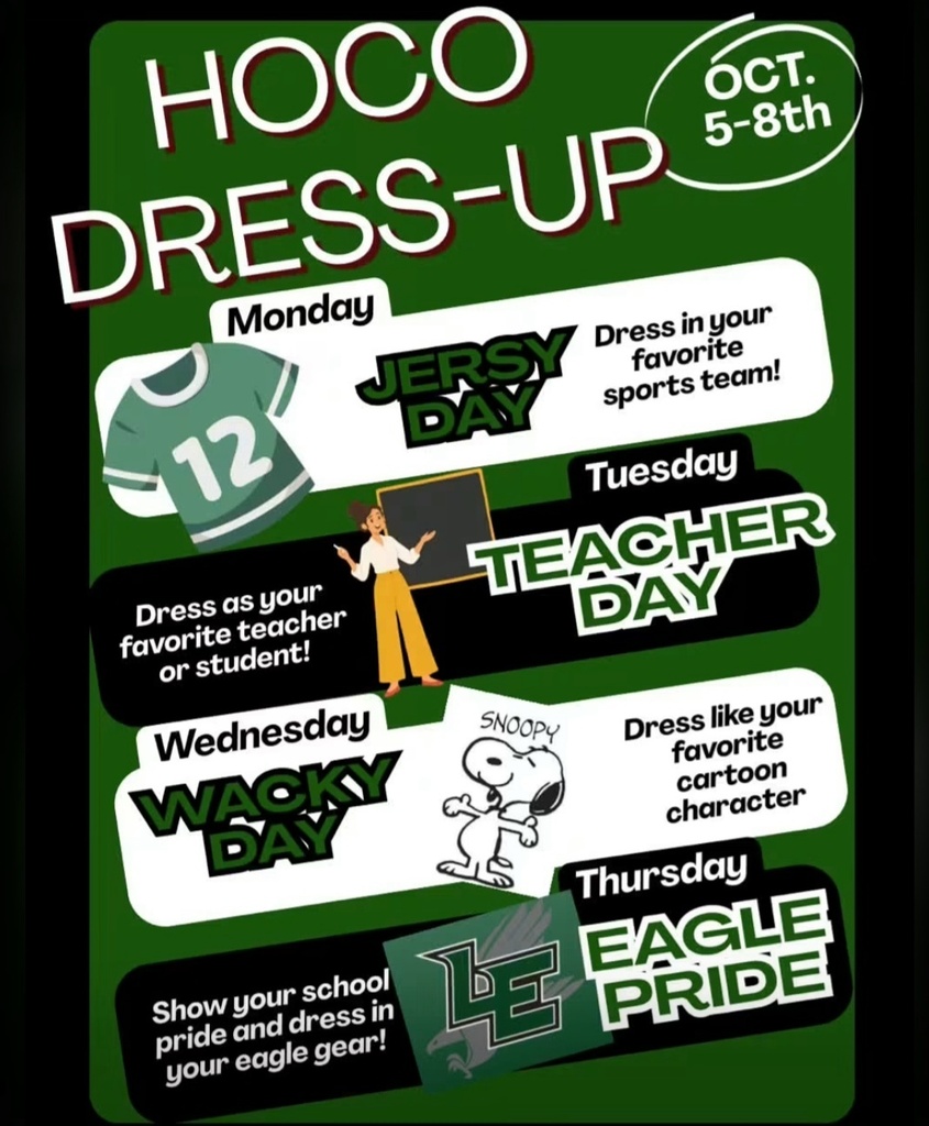 hoco dress up