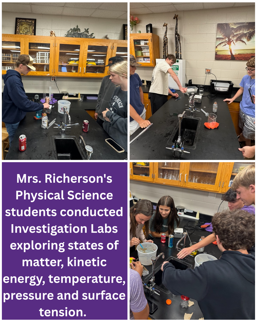 Investigation Lab Mrs. Richardson's Physical Science