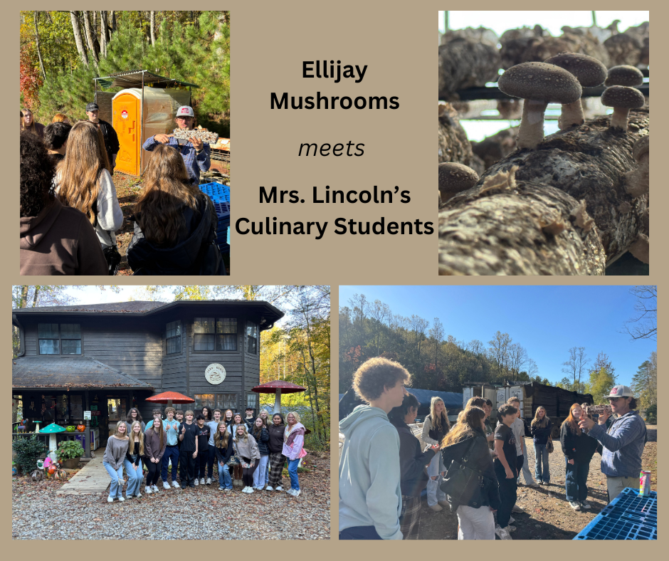 Ellijay Mushroom Culinary FieldTrip