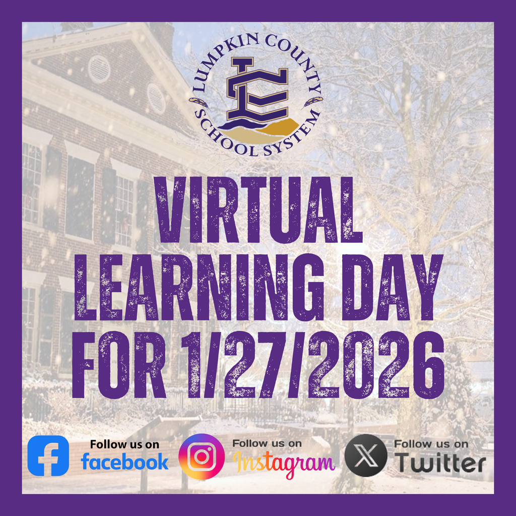 Virtual Learning Day