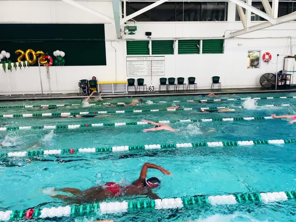 swim