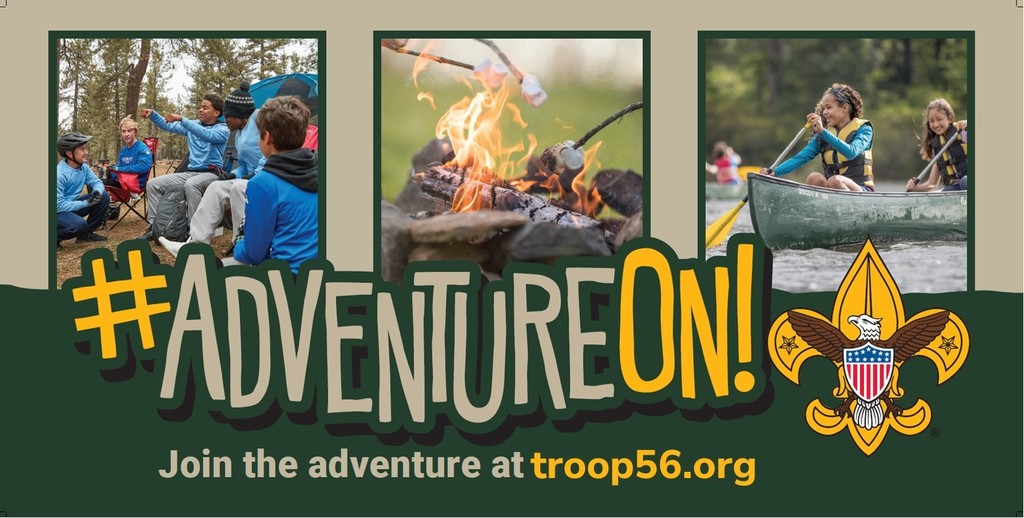 scouts