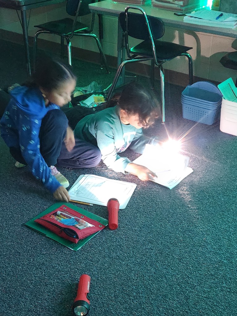 Camping Day reading with flashlights.