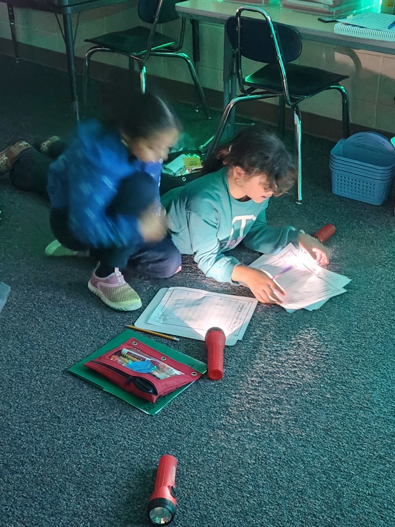 Camping Day reading with flashlights.