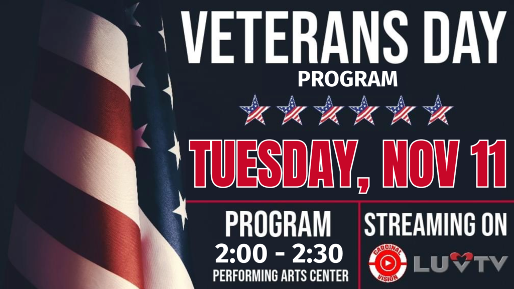 Veteran's day program graphic